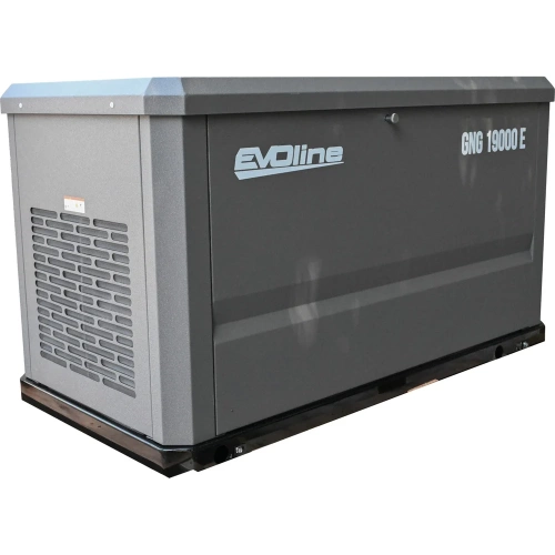 Генератор газовый Evoline GNG 19000 E GNG19000E фото 5