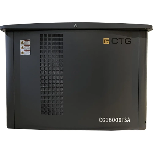 Электроагрегат газопоршневой CG18000SA в кожухе CTG 4687204619069