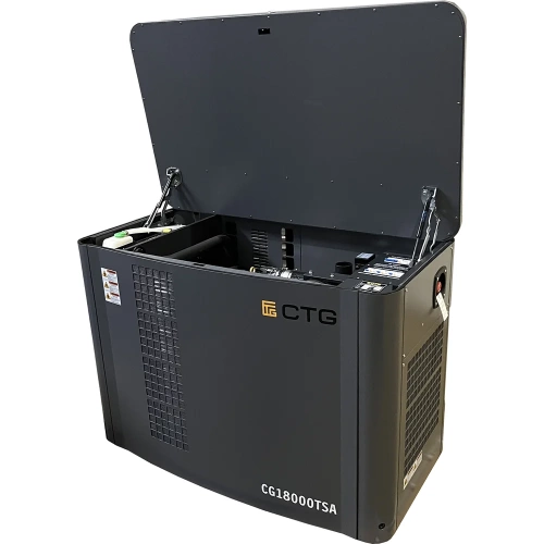 Электроагрегат газопоршневой CG18000SA в кожухе CTG 4687204619069 фото 5