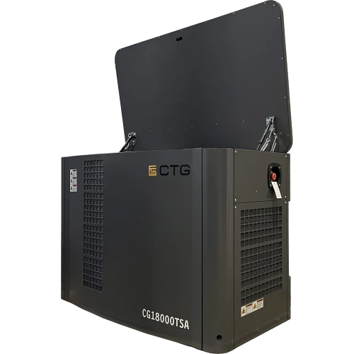 Электроагрегат газопоршневой CG18000SA в кожухе CTG 4687204619069 фото 4
