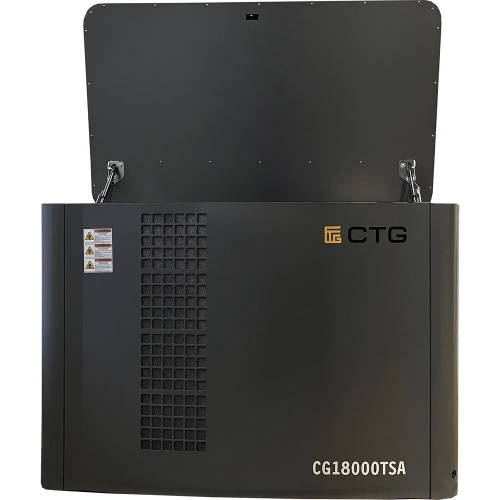 Электроагрегат газопоршневой CG18000SA в кожухе CTG 4687204619069 фото 3