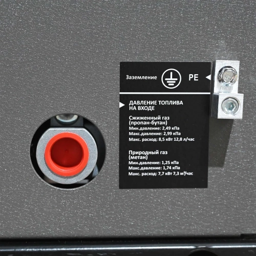 Генератор газовый Evoline GNG 9350 E GNG9350E фото 7