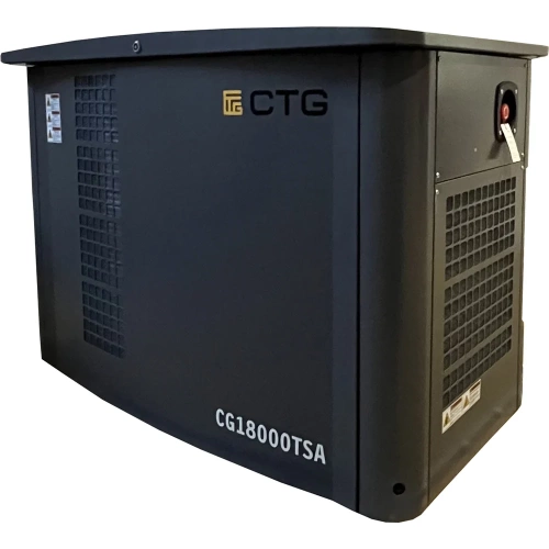Электроагрегат газопоршневой CG18000SA в кожухе CTG 4687204619069 фото 6